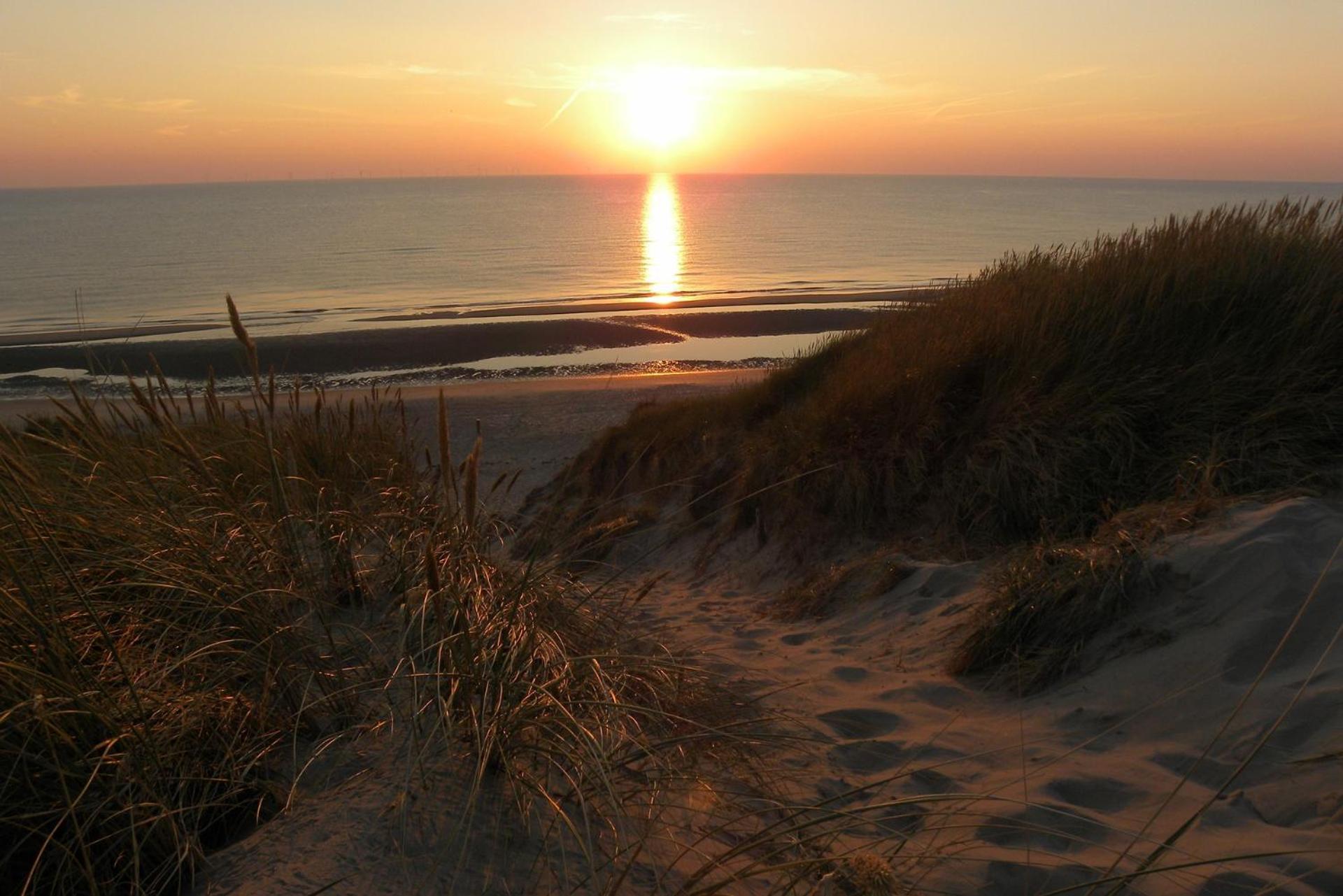 Ammophila 1 Apartment Egmond aan Zee Ngoại thất bức ảnh